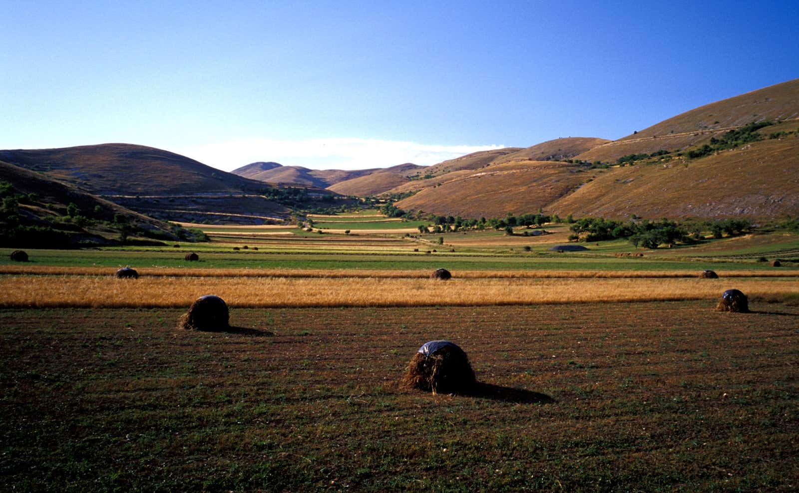 Aggiungi un legume a tavola: il 10 febbraio in oltre 150 ristoranti e pizzerie